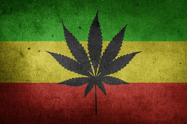 weed flag with rasta colors and marijuana leaf 